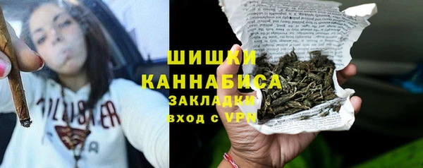 шишки Алзамай