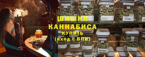 шишки Алзамай