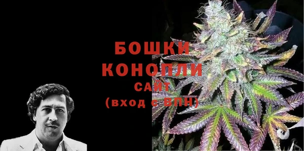 шишки Алзамай