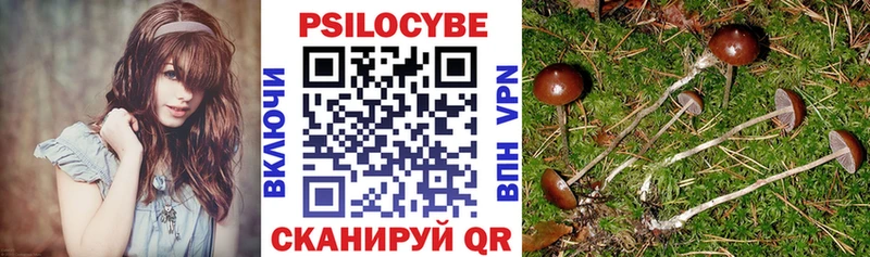 кракен tor  Берёзовский  Псилоцибиновые грибы GOLDEN TEACHER  купить закладку 